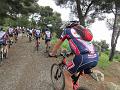 LIGURIAMTB13 (247)